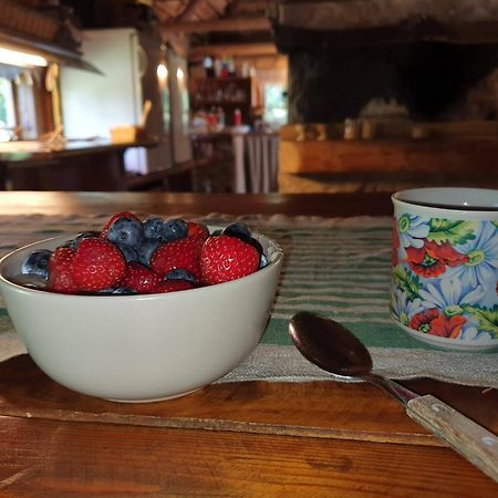 Anni Tourism Farm Villa Tammese Exteriör bild