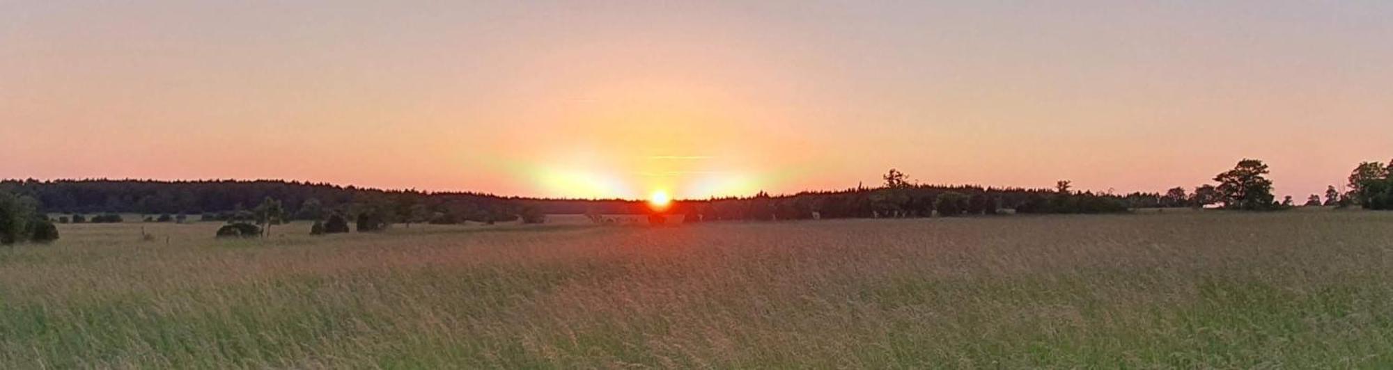 Anni Tourism Farm Villa Tammese Exteriör bild