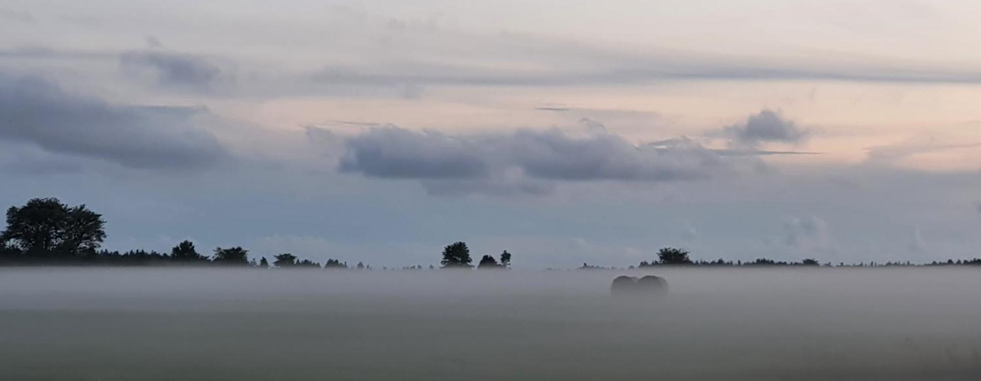 Anni Tourism Farm Villa Tammese Exteriör bild