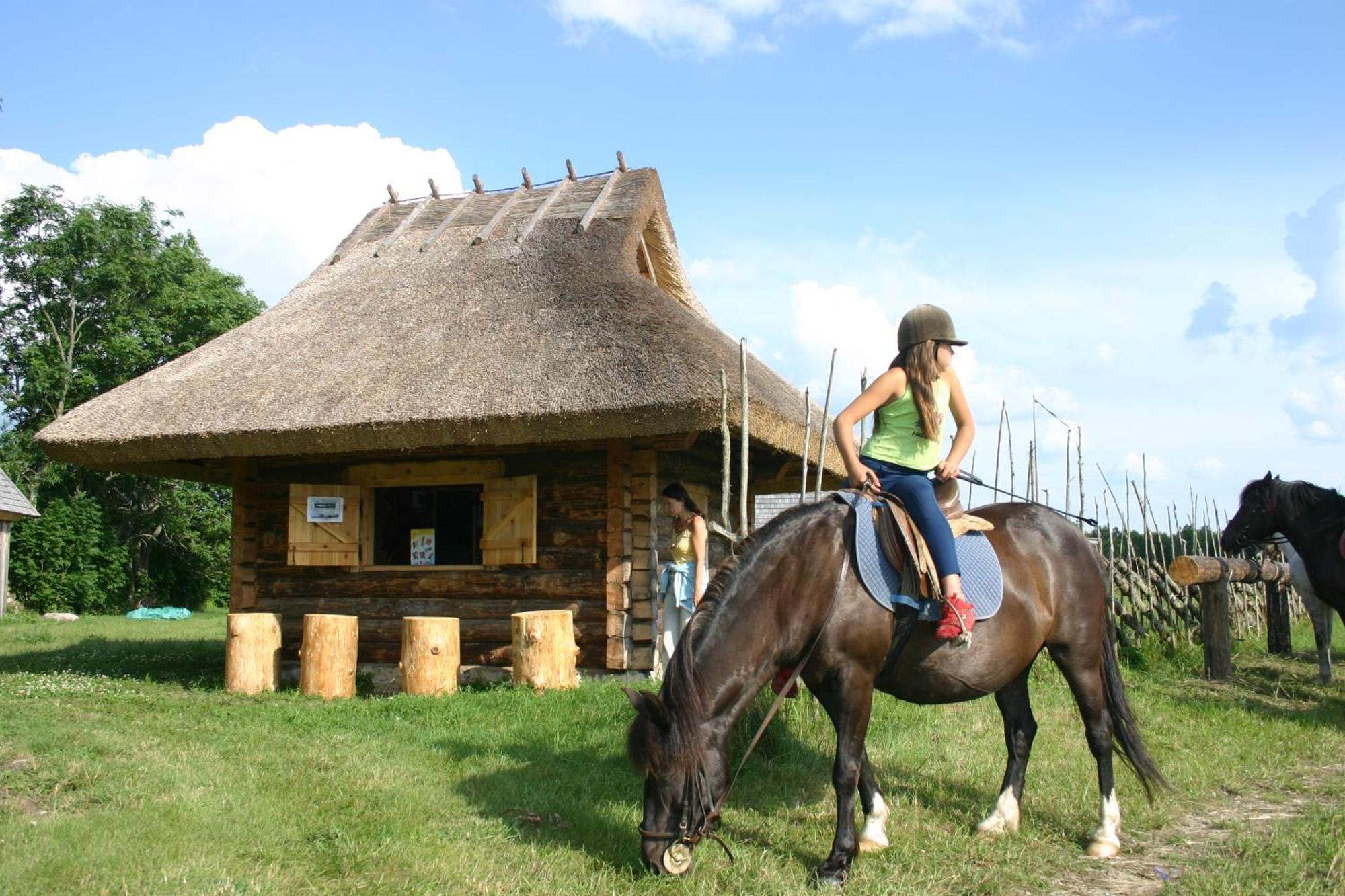 Anni Tourism Farm Villa Tammese Exteriör bild