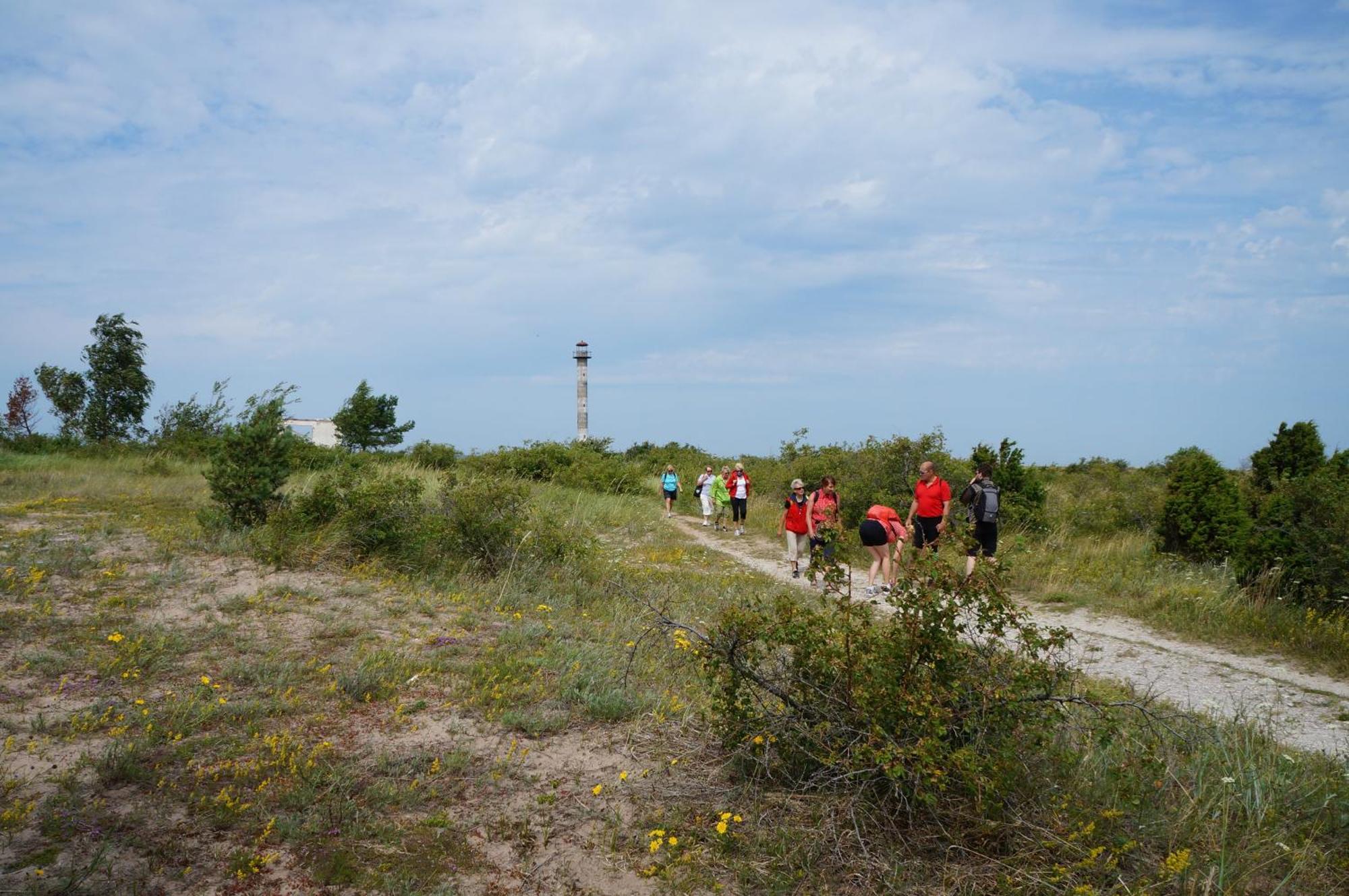Anni Tourism Farm Villa Tammese Exteriör bild