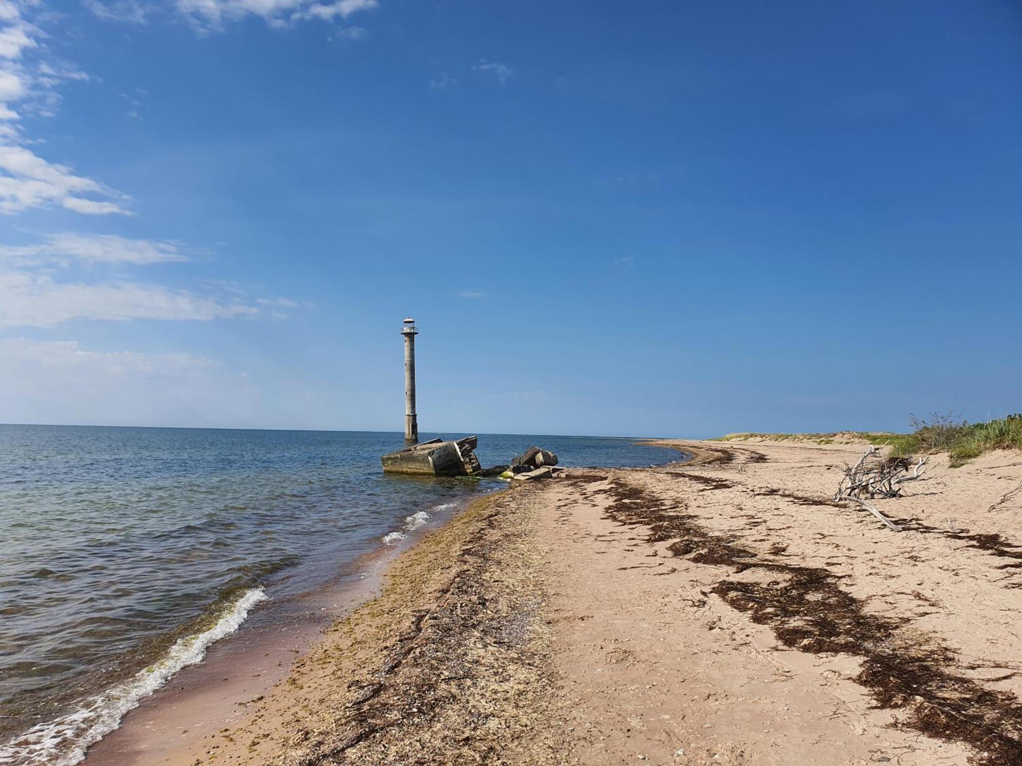 Anni Tourism Farm Villa Tammese Exteriör bild