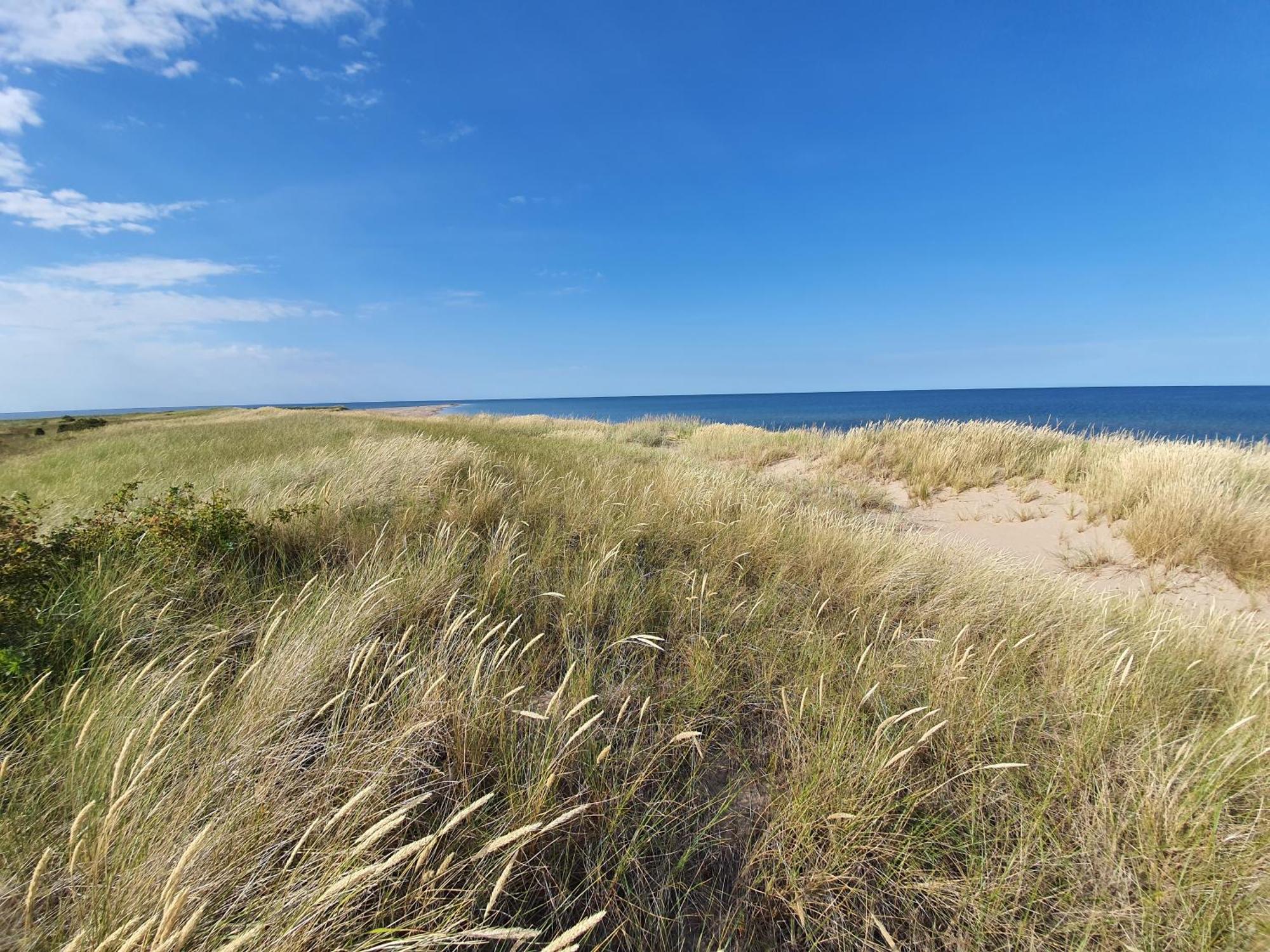 Anni Tourism Farm Villa Tammese Exteriör bild