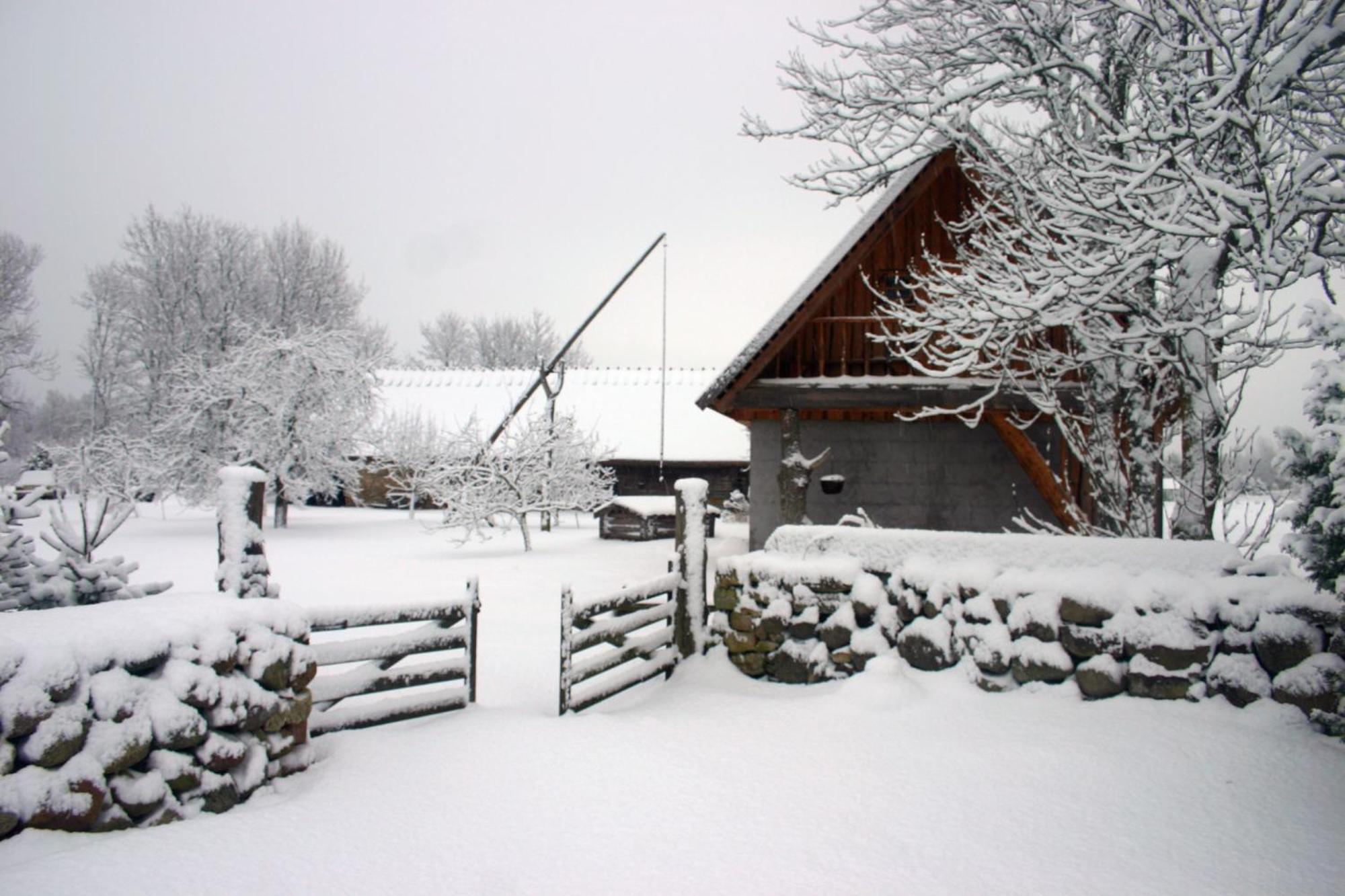 Anni Tourism Farm Villa Tammese Exteriör bild