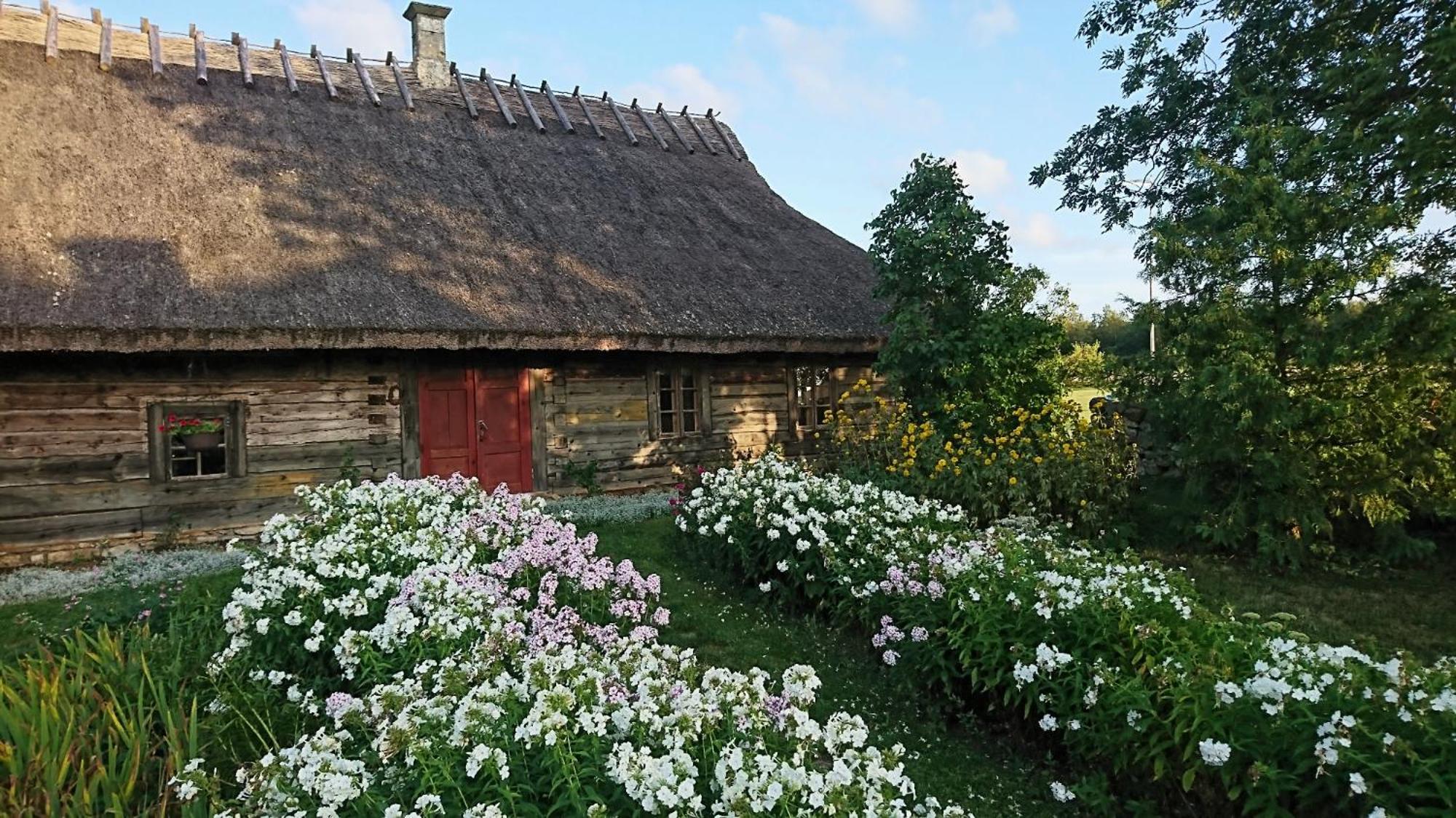 Anni Tourism Farm Villa Tammese Exteriör bild