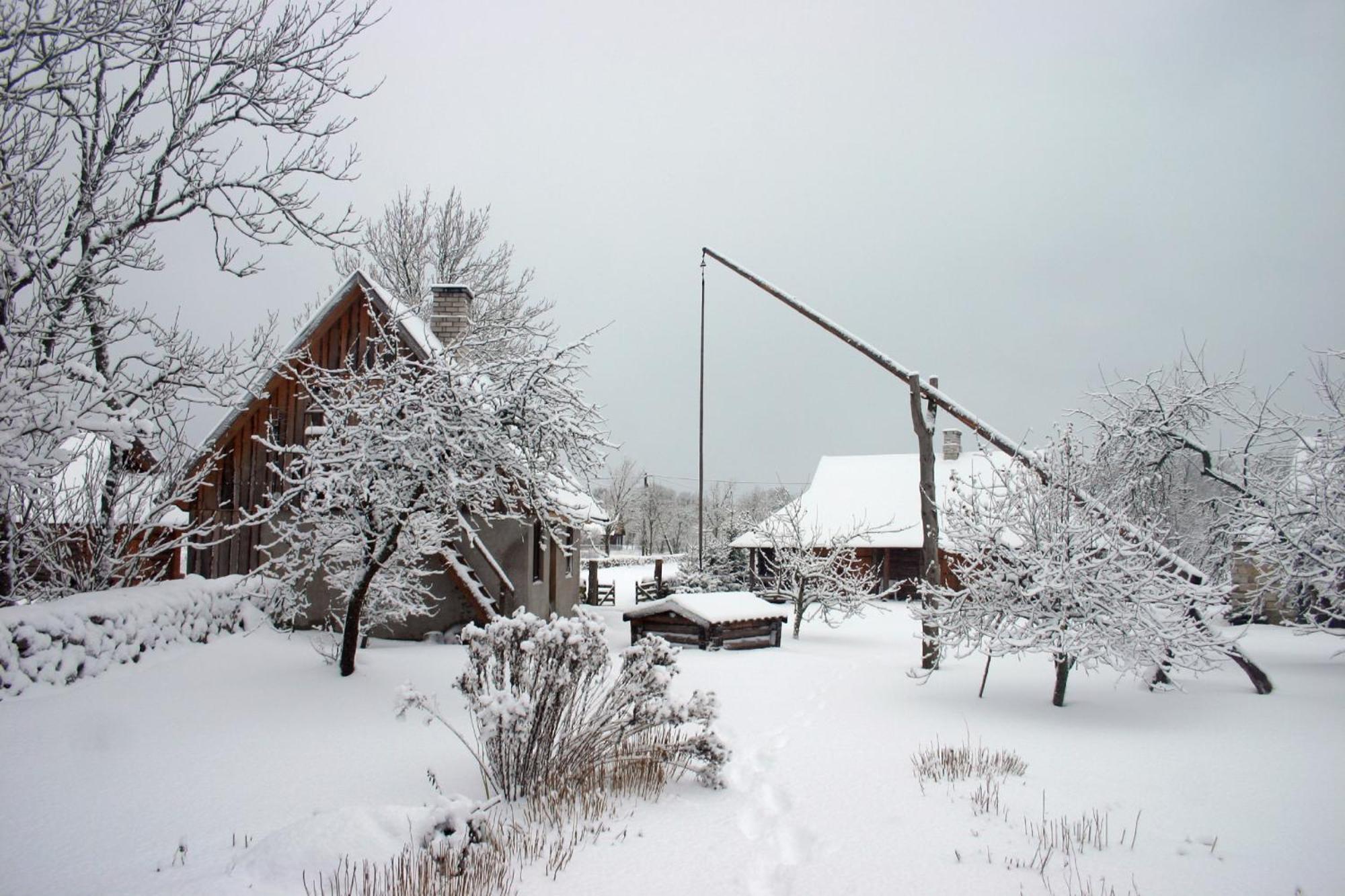 Anni Tourism Farm Villa Tammese Exteriör bild