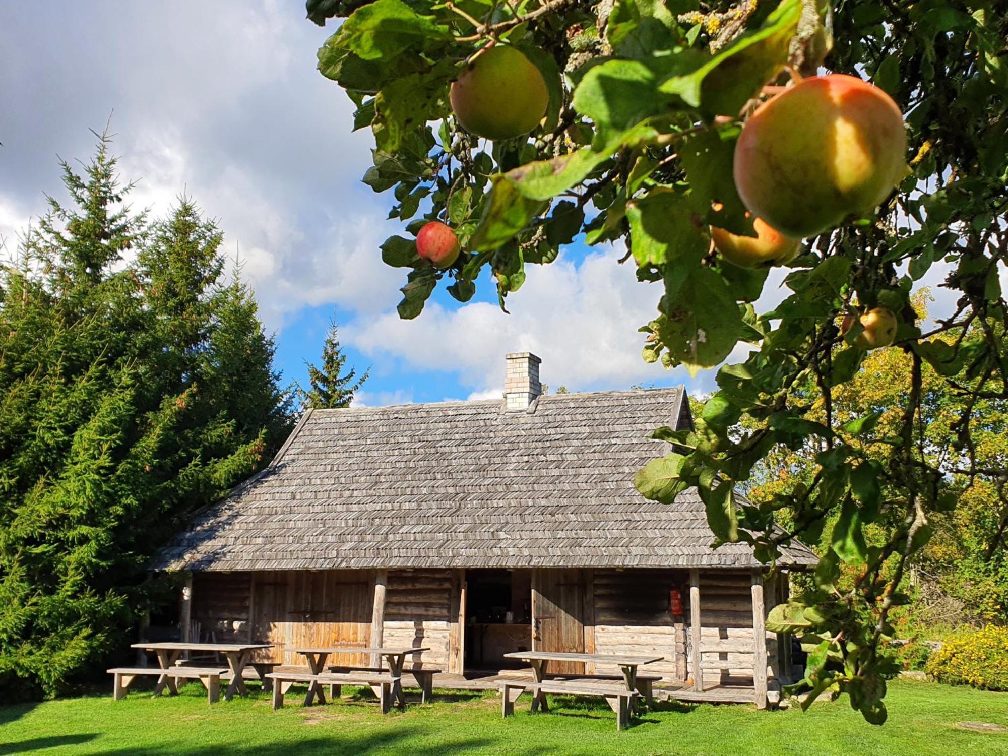 Anni Tourism Farm Villa Tammese Exteriör bild